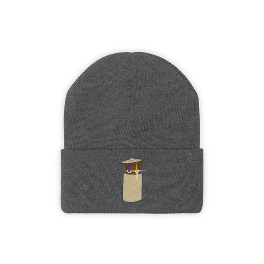 Cookie Jar Knit Beanie - WolfDuckStudiosMerch